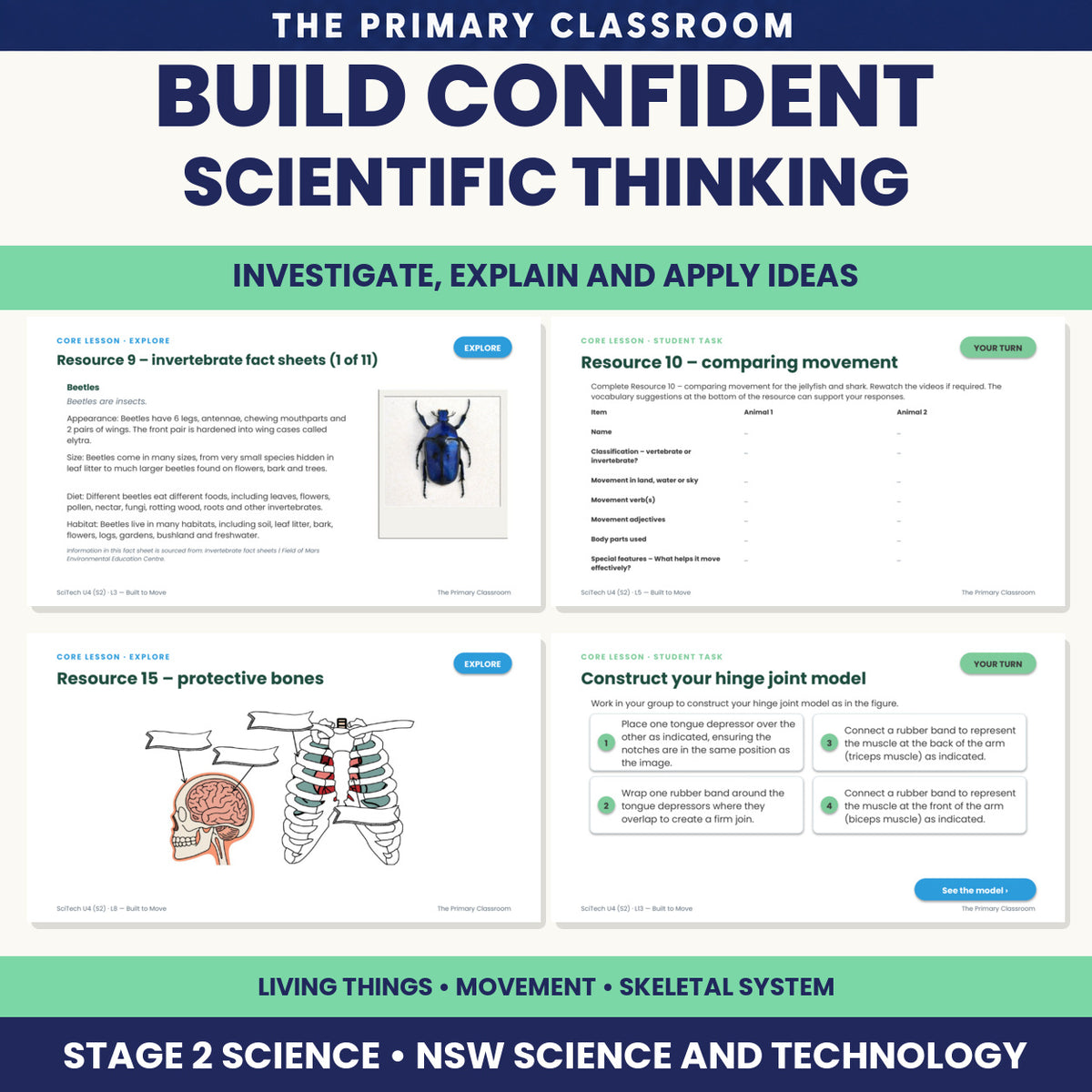 Sample slides showing learning intentions, click-to-reveal answers and the labelled human skeleton diagram