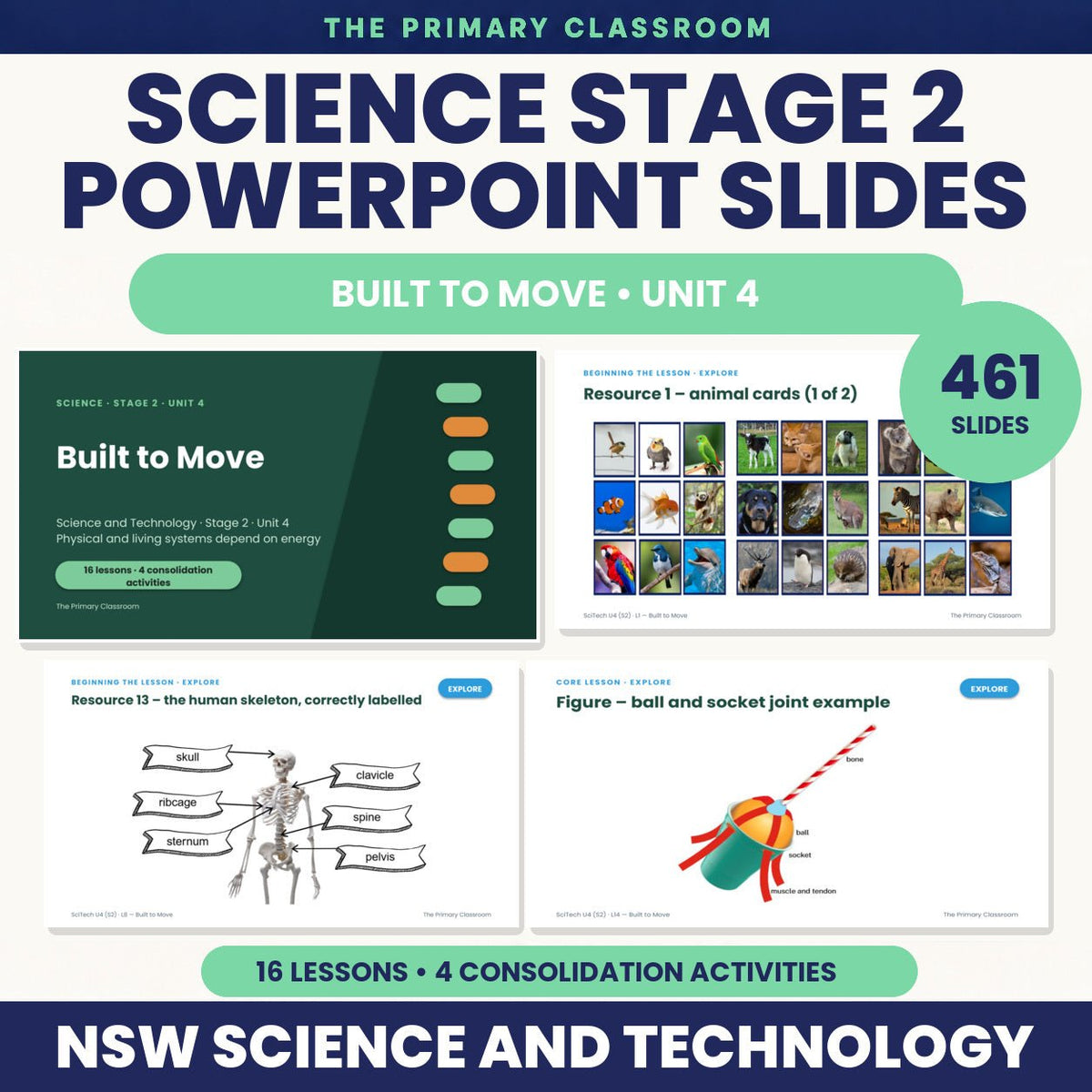 Stage 2 Science Unit 4 – Built to Move – PowerPoint Lesson Slides - The Primary Classroom